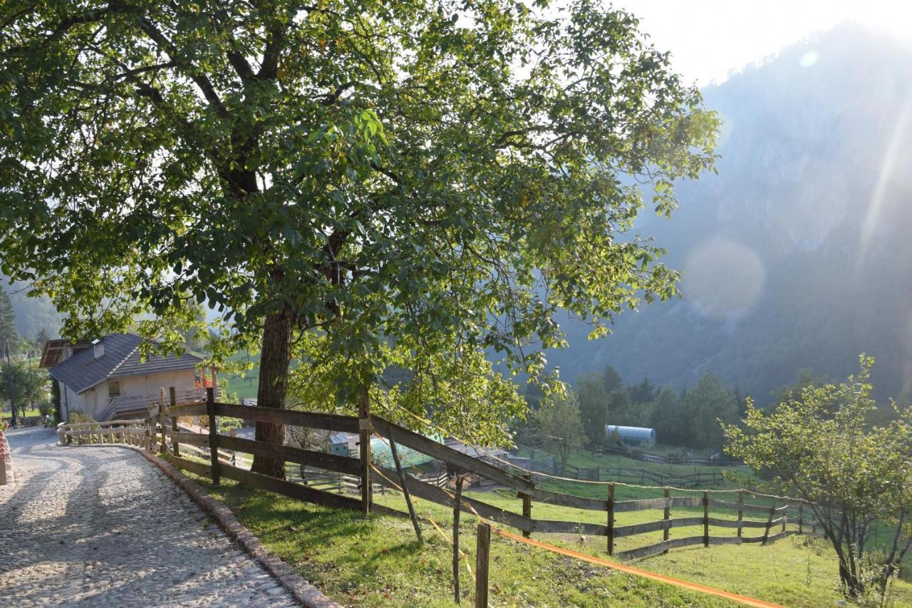 Agriturismo Athabaska San Lorenzo Dorsino Luaran gambar